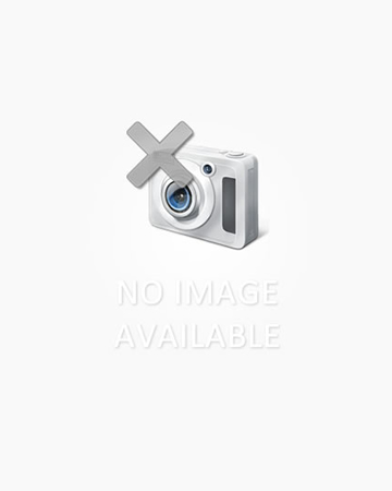 MKS269 – Ikan Koki Oranda ShortTail ShortBody Kirin